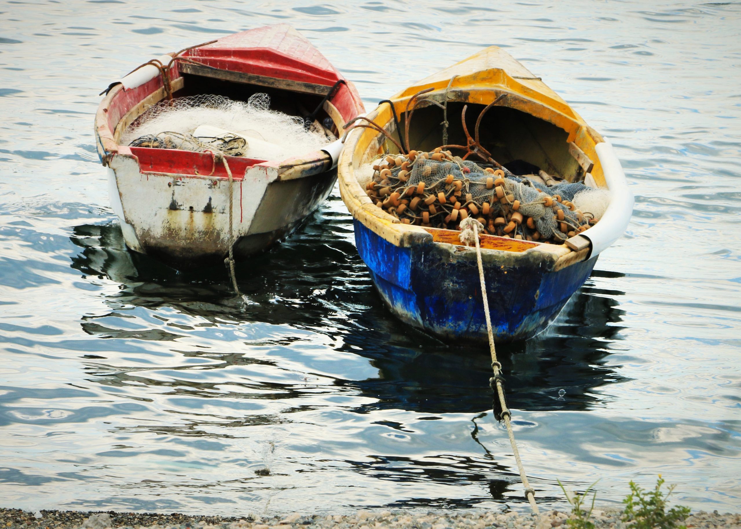 Fishing boats sits in the still waters of Kingston Harbour Manley Meadows